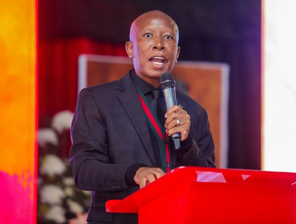 Malema joins calls for Godongwana’s resignation following VAT increase court ruling