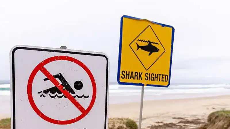 Australia: Man dies after suspected shark attack in Sydney