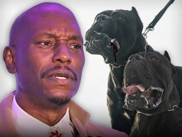 Tyrese Atlanta Police Issue Warrant Over Deadly Cane Corso ATTACK