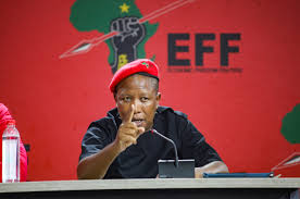 South Africa: Malema says ‘people of Joburg will reject Helen Zille’