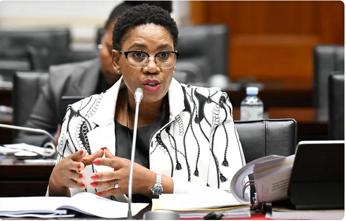 South Africa: Deputy Police Commissioner Sl@ms Irregular Disb@nding of Political K!llings Task Team