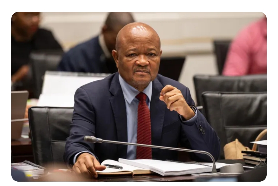 Suspended Police Minister on Masemola Court Summons: No One Above the Law