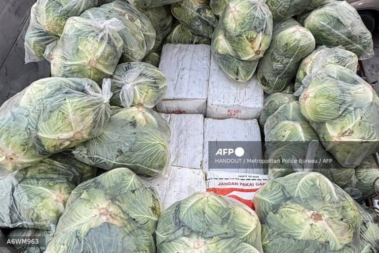 Thai police seize 1.6 tonnes of drugs hidden under cabbages (Photos)
