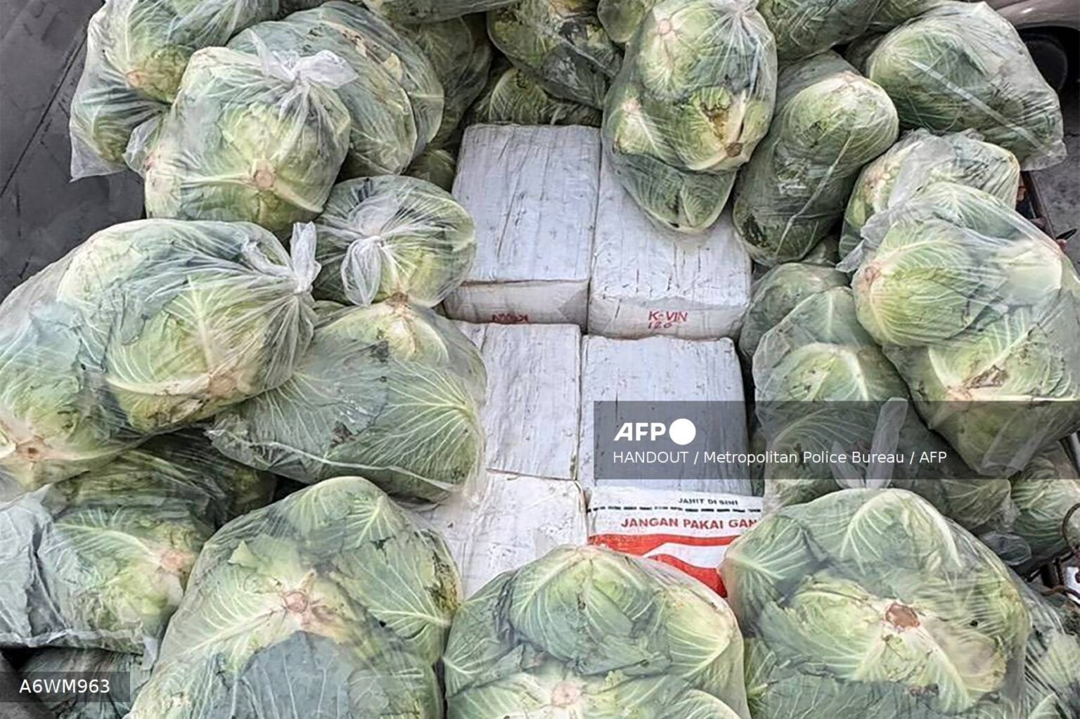 Thai police seize 1.6 tonnes of drugs hidden under cabbages (Photos)