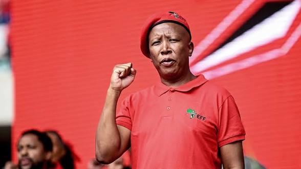EFF Leader Malema Faces Up to 15-Year Sentence in Firearms Case