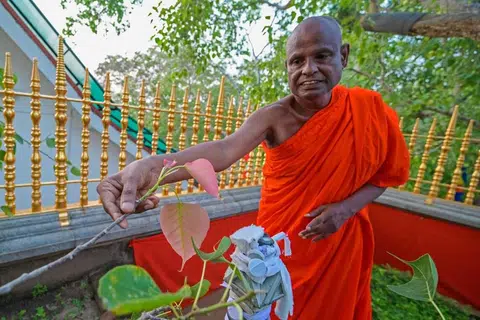 Sri Lankan Buddhist hierarchy suspends senior monk accused of child s3x abuse