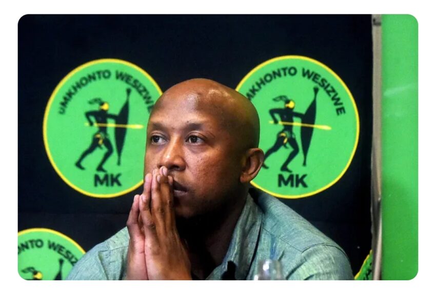 Dismissed MK Party spokesperson Nhlamulo Ndhlela ordered to return party assets within a week