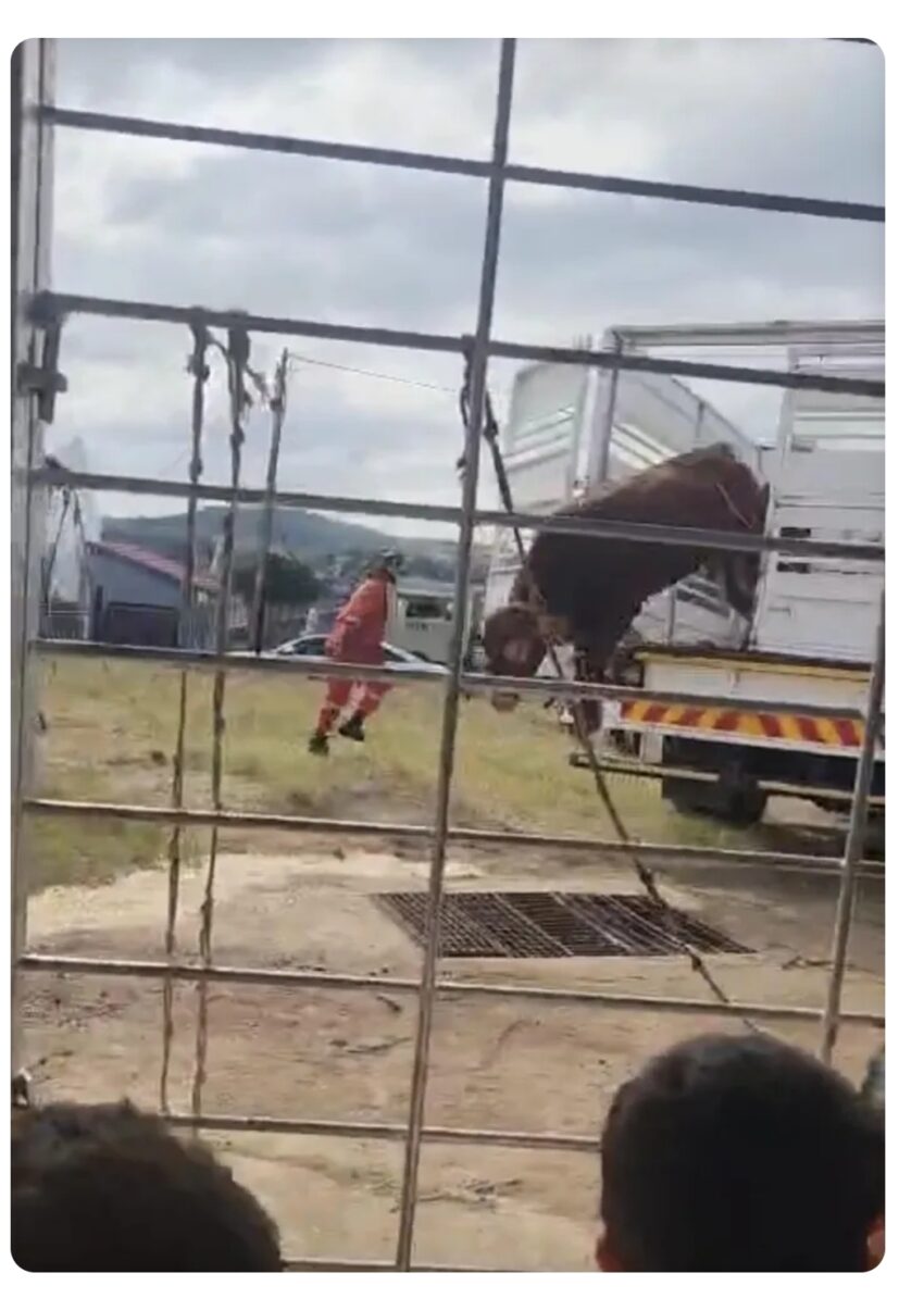South Africa:Tragic sh00ting incident claims life of 12-year-old girl during qurbani event