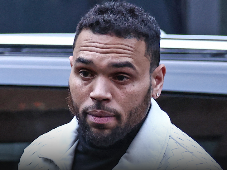 Chris Brown Denies Involvement in Tarzana Shooting Outside His Home