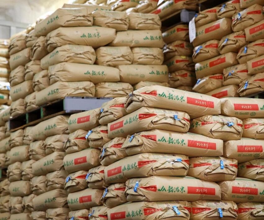Japan’s rice consumption per person drops 6% to 7-year low in FY2025