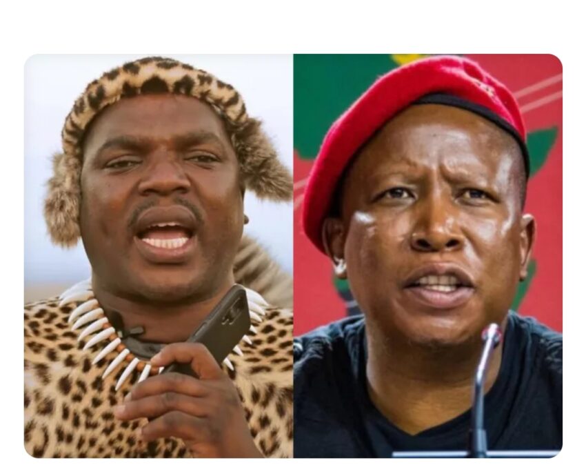Ngizwe Mchunu issues apology to Court and Malema after being found guilty of contempt